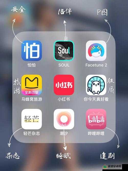 为什么选择免费进入 b 站哔哩哔哩？：这里有你想要的答案